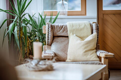 Ferienhaus Comfort