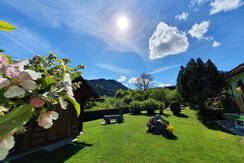 IMG-20210804-WA0055