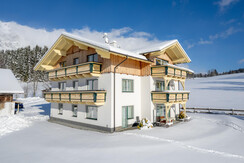 Fosensteiner