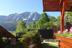 image (13)