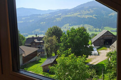 Ausblick