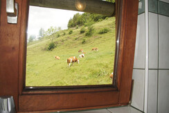 Kuhler Ausblick