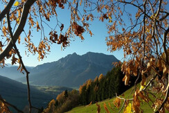 Goldener Herbst
