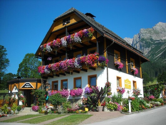 HausBergsicht