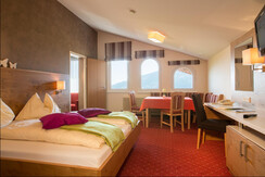 Wohn/Schlafzimmer