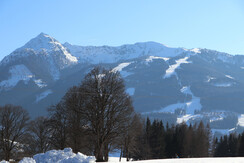 Winter_2