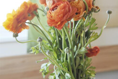 Detail Wohnzimmer