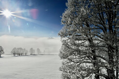 Wanderwege
