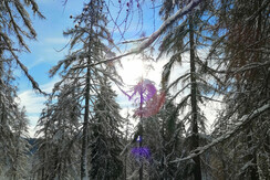 Winterwandern