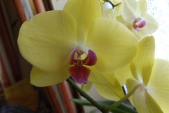 DSCF0012