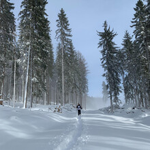 Schneeschuhwandern