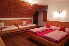 Dachsteinblick Nr.6