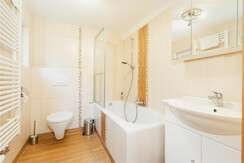 Waldwohnung Badezimmer 2