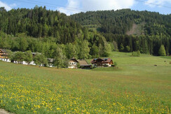 DSC07096
