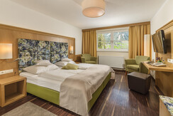 Doppelzimmer ohne Balkon