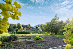 landauerhof2309-klein900px-1 - Kopie