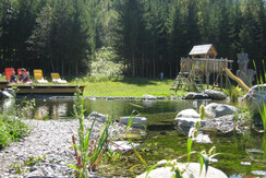 Teich
