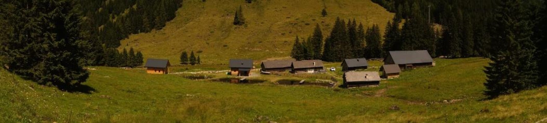 Hüttfeldalm