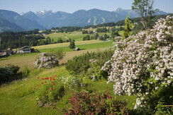 Aussicht