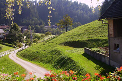 PICT0824 - Kopie