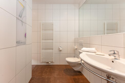 Penthouse bathroom 2 with walk-in shower