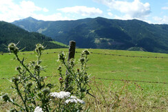 P1000455