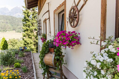 Blumenpracht