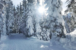 Winterlandschaft