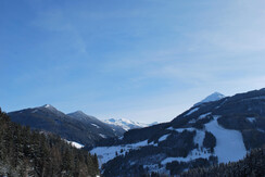 DSC_0021 (2)
