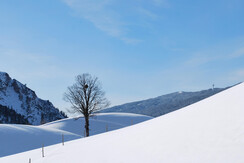 DSC_0017 (3)