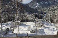 winterausblick