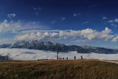 IMG_0174