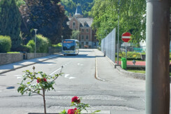 Bus
