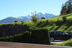 Ausblick Südseite