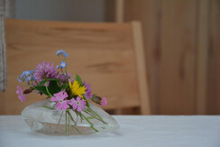 airbnb_steiner_010