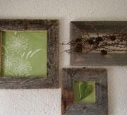 image (6)