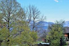 Ausblick Wintergarten (Loggia)