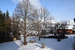 Ausblick auf die Lindenbaum
