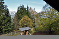 Unser Garten