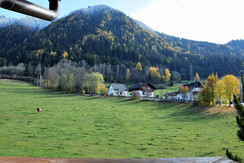 Blick auf Weide