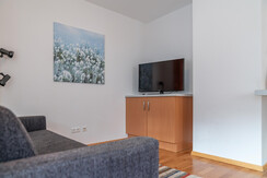 Sofa mit TV im Wohnraum