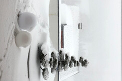 Edelweiß Schnee