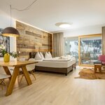 Photo of Studio, bath, toilet, living room/bedroom | © Schladming-Appartements