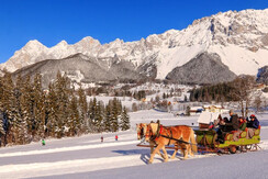 Pferdeschlitten (1)(c)Photo-Austria Michael Simonl