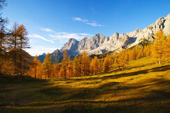 352219-dachstein-vom-brandriedel--c--gerhard-pilz