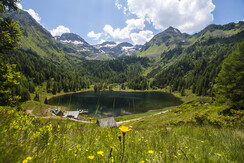 Duisitzkarsee im Sommer 003 © Gerhard Pilz (2016)