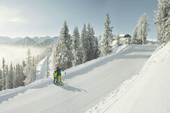 370570-hochwurzen4_schladming-dachstein-c-peter-bu