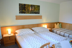 Zimmer1 (2)